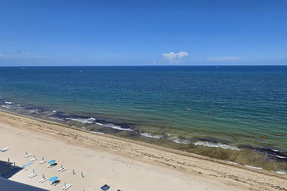 3700 GALT OCEAN DRIVE #1206 Fort Lauderdale, FL 33308