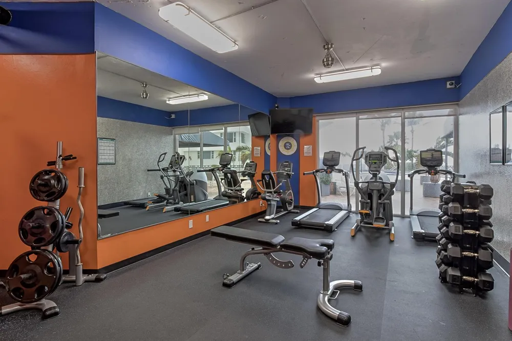 3700 GALT OCEAN DRIVE #1206 Fort Lauderdale, FL 33308