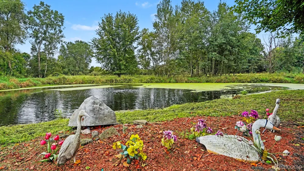 3115 Brogan Road Stockbridge Township, MI 49285