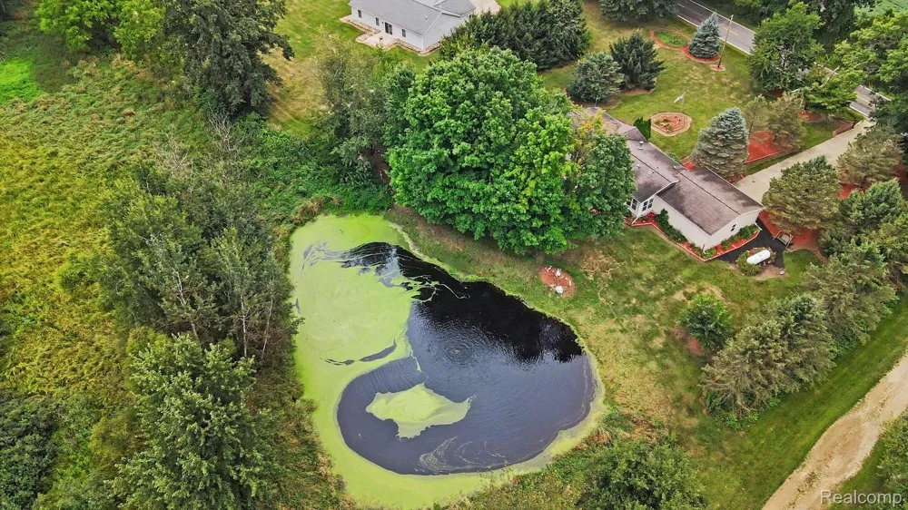 3115 Brogan Road Stockbridge Township, MI 49285