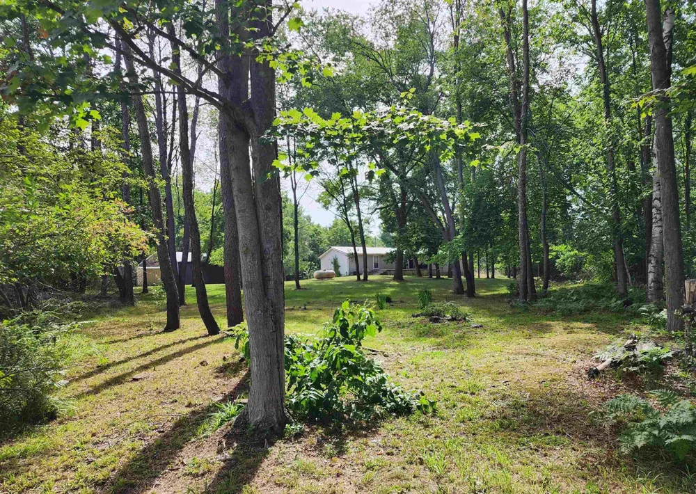 3560 Pine Tree Drive Sherman Township, MI 48893