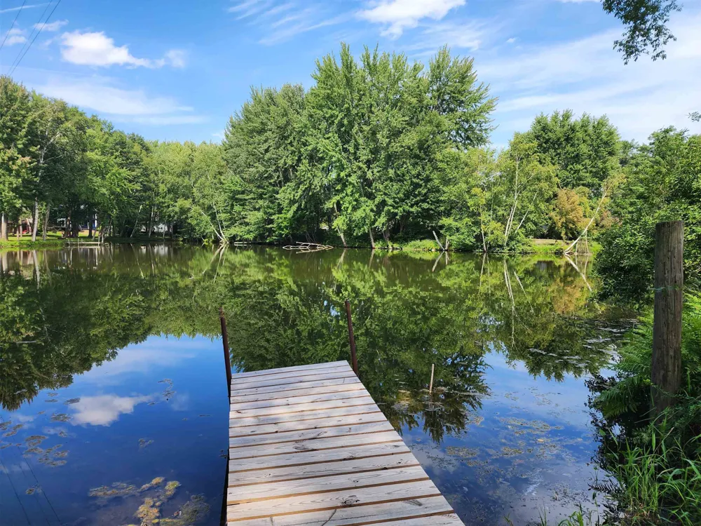3560 Pine Tree Drive Sherman Township, MI 48893