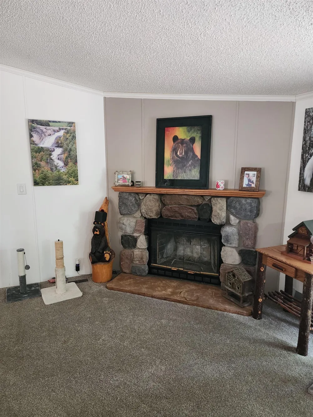 3560 Pine Tree Drive Sherman Township, MI 48893