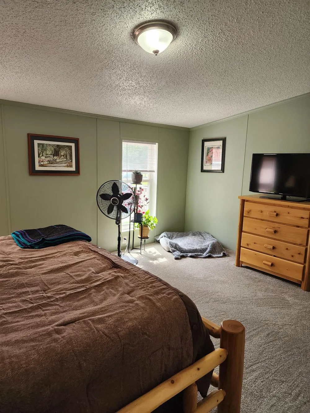 3560 Pine Tree Drive Sherman Township, MI 48893