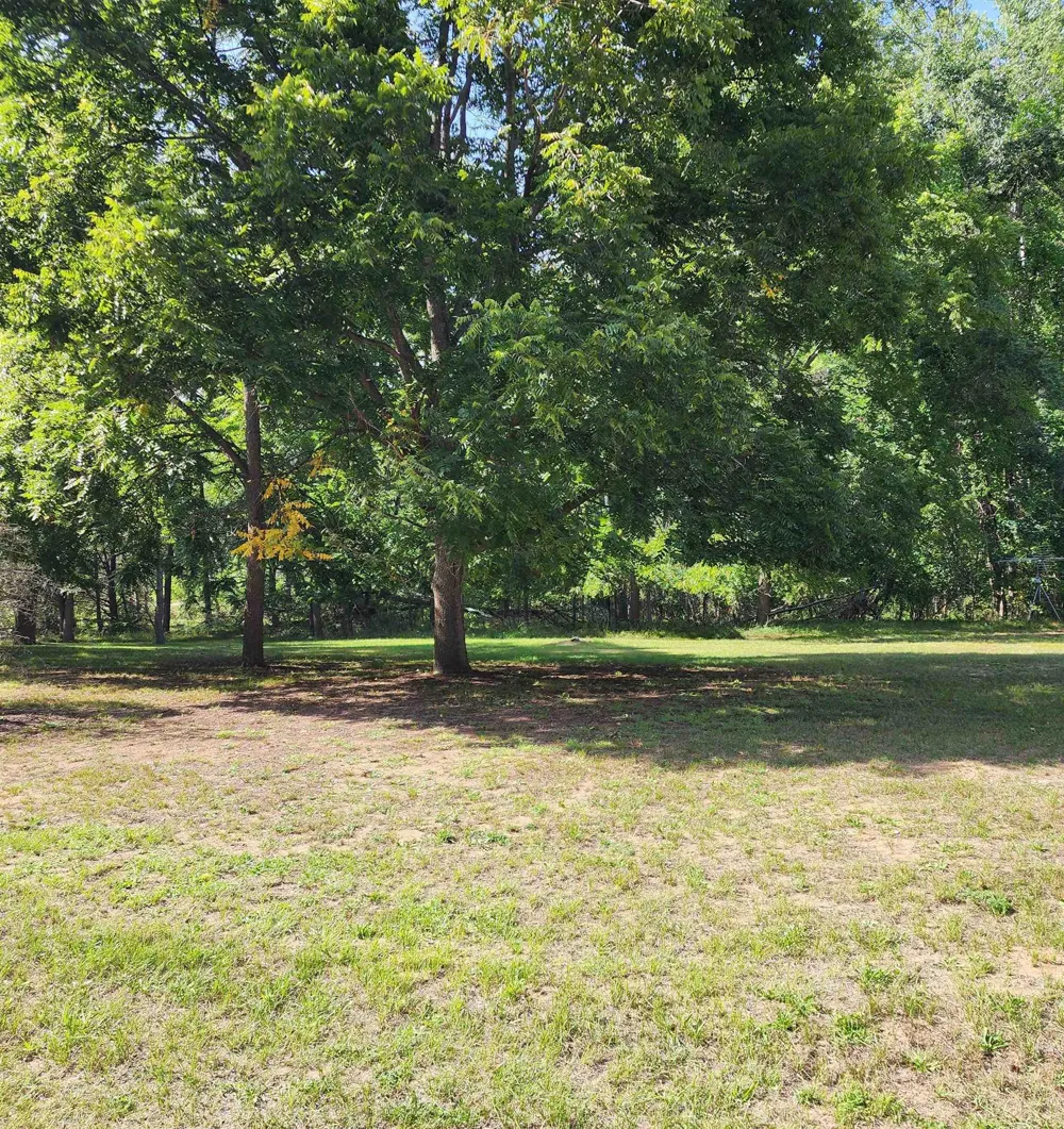 3560 Pine Tree Drive Sherman Township, MI 48893