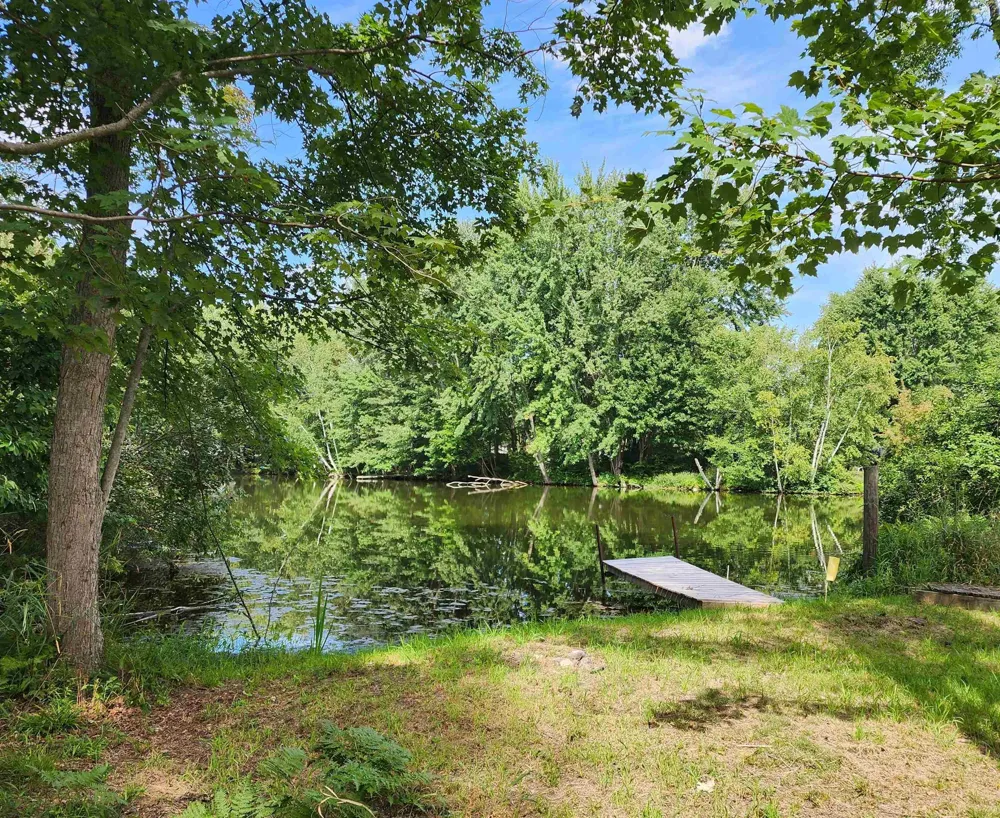 3560 Pine Tree Drive Sherman Township, MI 48893