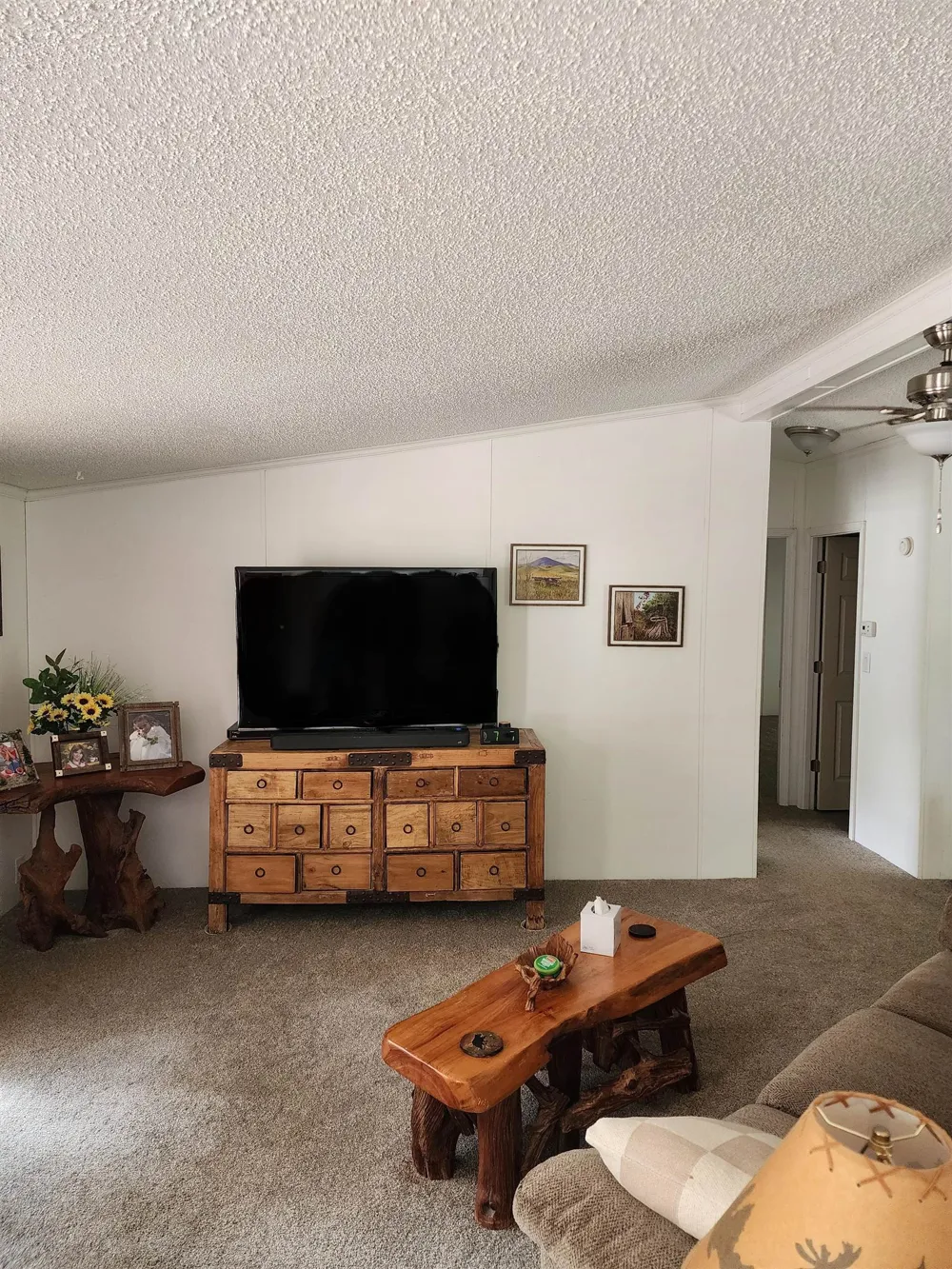 3560 Pine Tree Drive Sherman Township, MI 48893