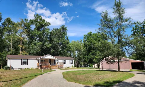 3560 Pine Tree