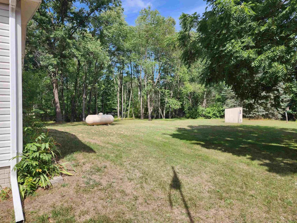 3560 Pine Tree Drive Sherman Township, MI 48893