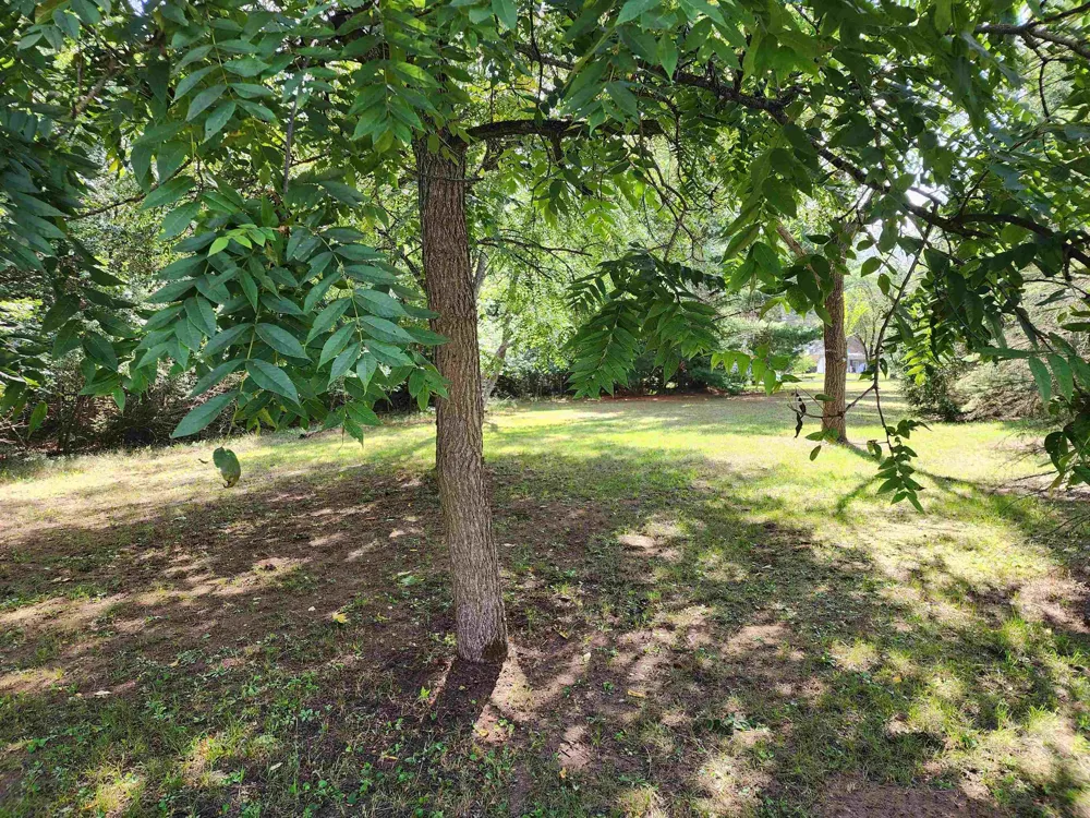 3560 Pine Tree Drive Sherman Township, MI 48893