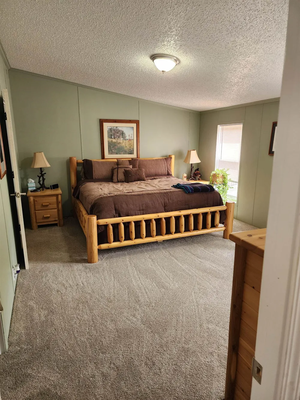 3560 Pine Tree Drive Sherman Township, MI 48893