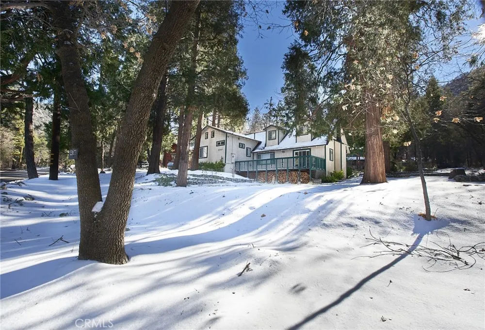 40353 Valley Of The Falls Drive Forest Falls, CA 92339