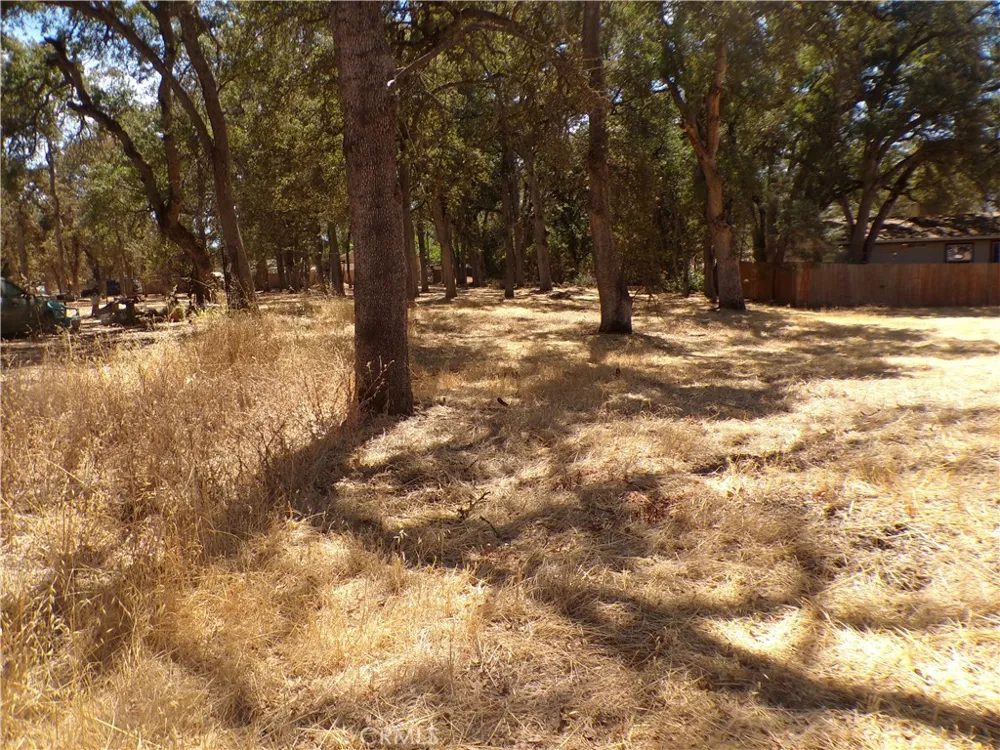 16113 42nd Clearlake, CA 95422