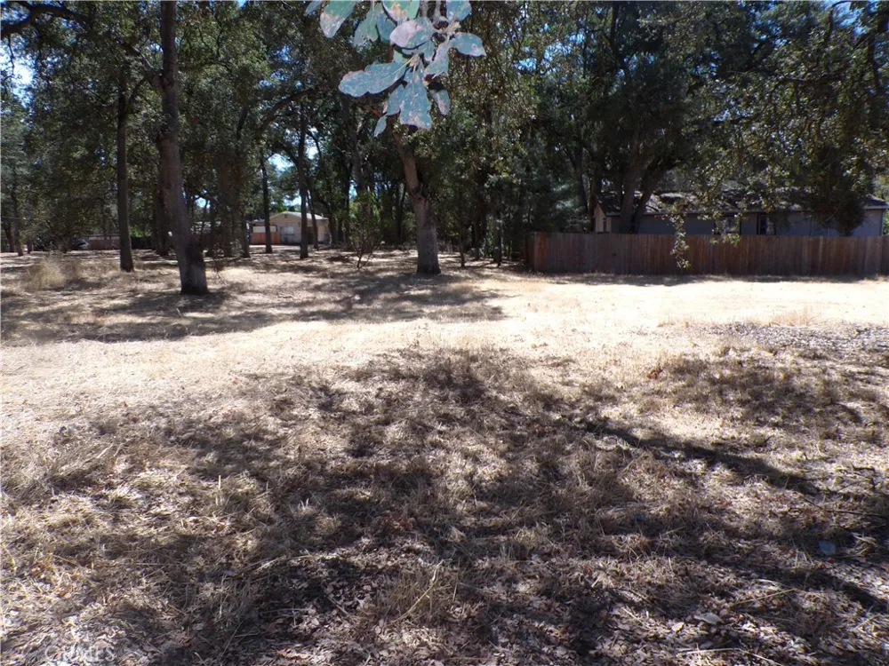 16113 42nd Clearlake, CA 95422