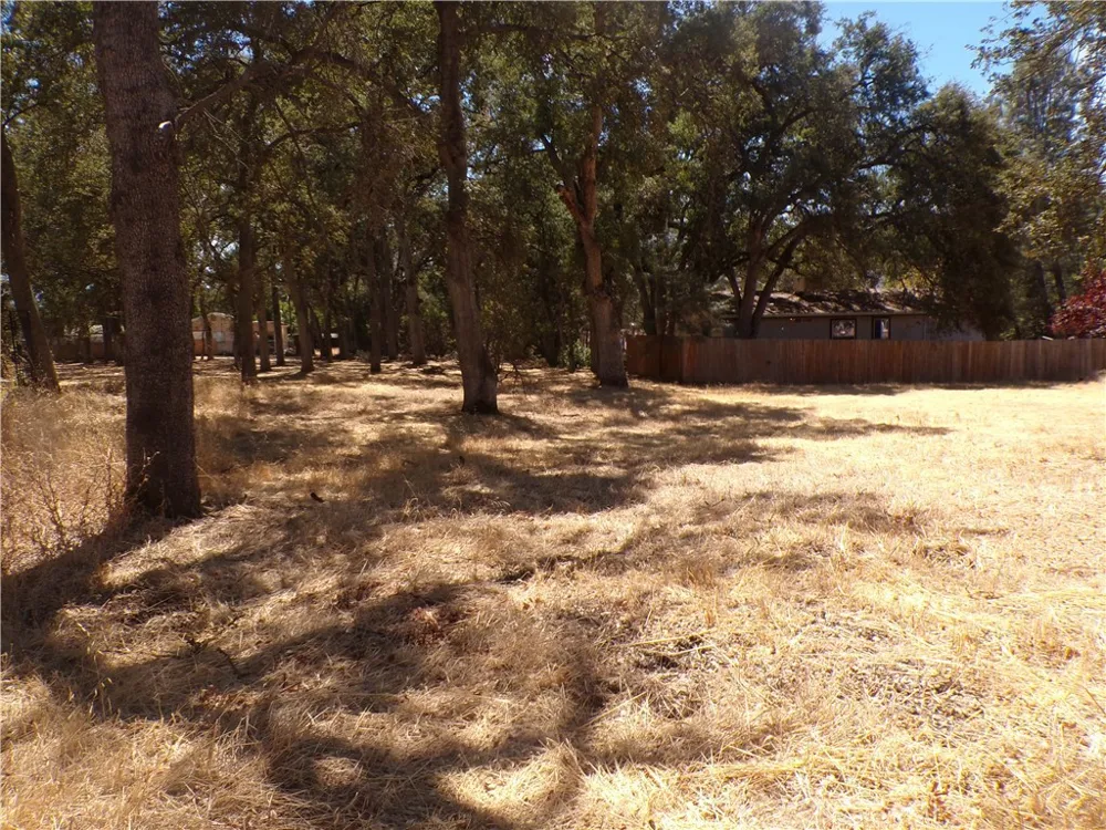 16113 42nd Clearlake, CA 95422