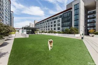 250 King Street #1210 San Francisco, CA 94107
