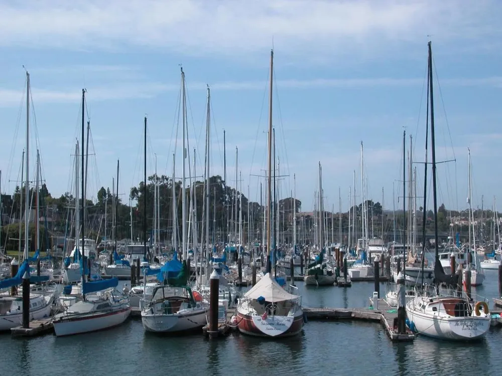 152 Frederick Street Santa Cruz, CA 95062