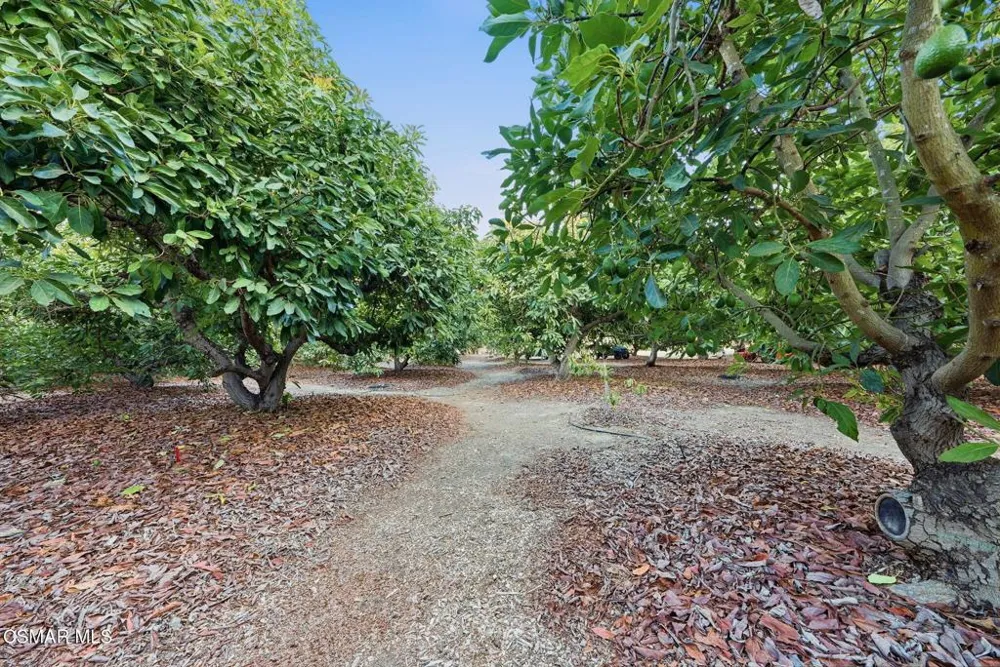 280 Cummings Road Santa Paula, CA 93060