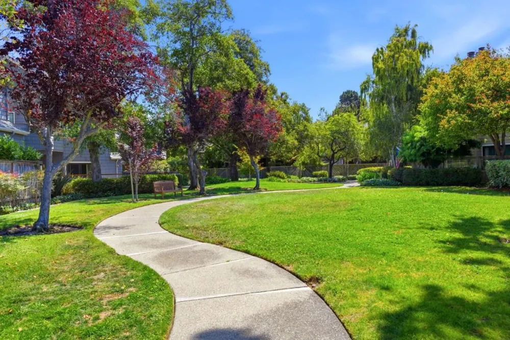 1217 Shoreline Drive San Mateo, CA 94404
