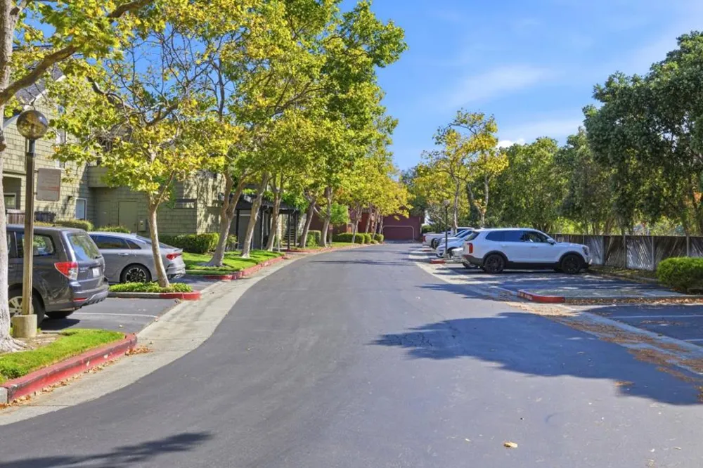 1217 Shoreline Drive San Mateo, CA 94404