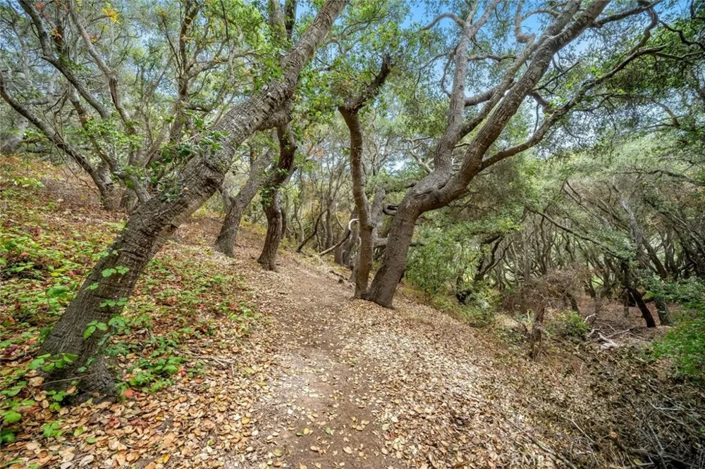 1550 Bayview Heights Los Osos, CA 93402
