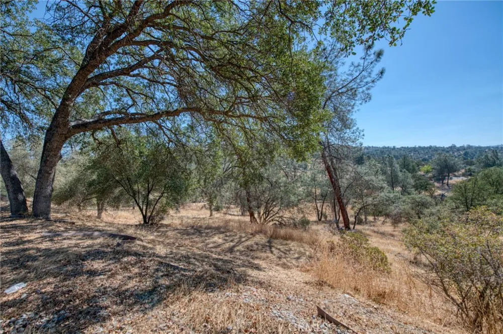 29703 Corral Court S Coarsegold, CA 93614