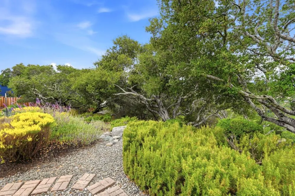 1286 Parrott Drive San Mateo, CA 94402