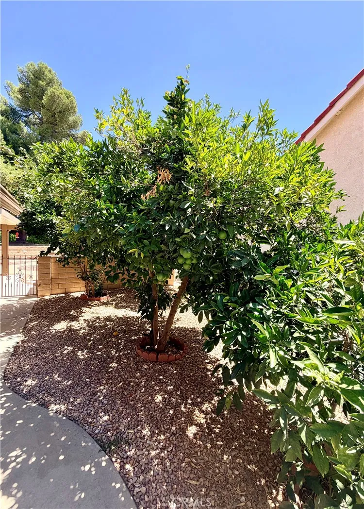 1874 Ash Tree Lane Hemet, CA 92545