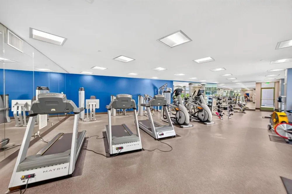 144 S 3rd Street #332 San Jose, CA 95112