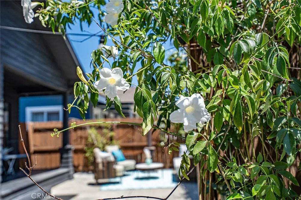 523 Olive Long Beach, CA 90802