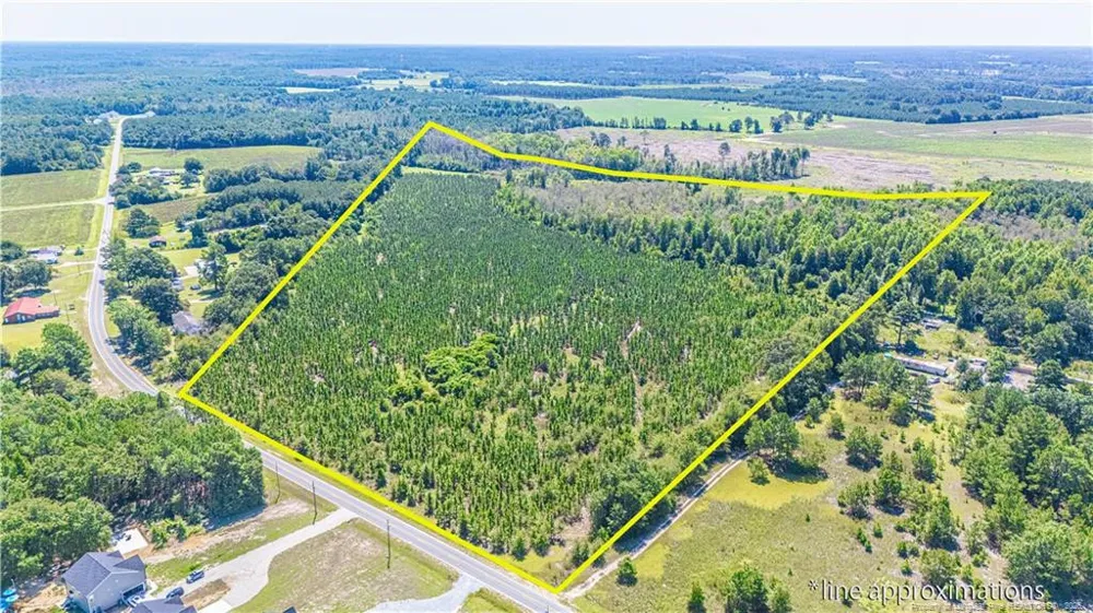 TBD Blue Springs Road Red Springs, NC 28377
