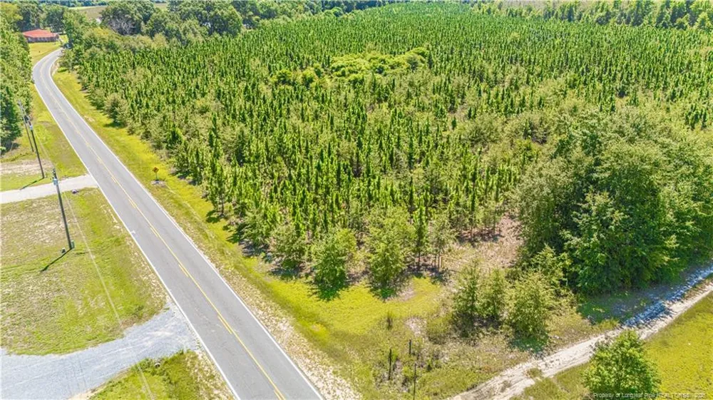 TBD Blue Springs Road Red Springs, NC 28377