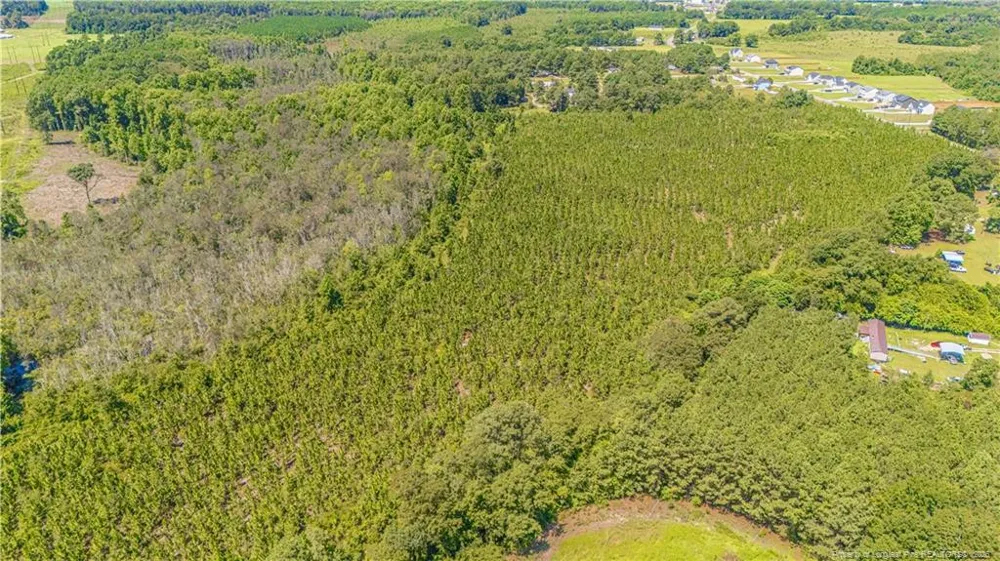 TBD Blue Springs Road Red Springs, NC 28377