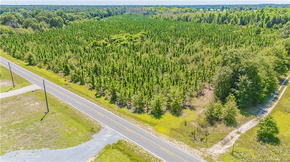 TBD Blue Springs Road Red Springs, NC 28377