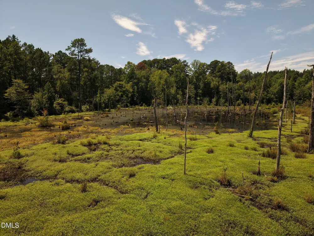 (tract C) Brassfield Road Creedmoor, NC 27522