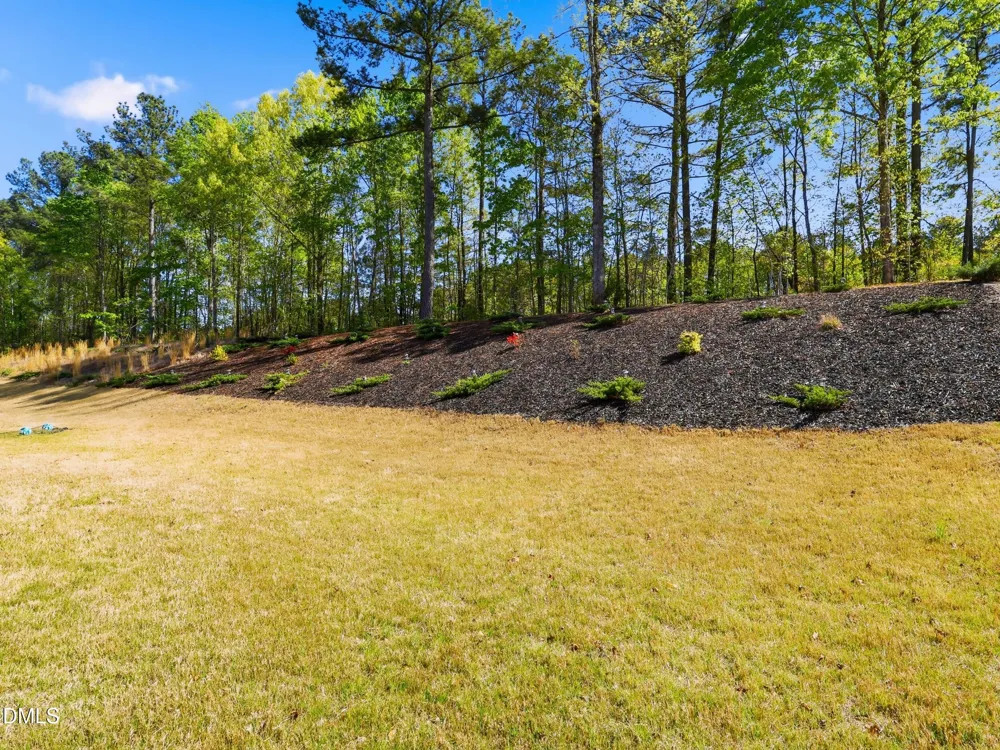 80 Vast View Way Youngsville, NC 27596