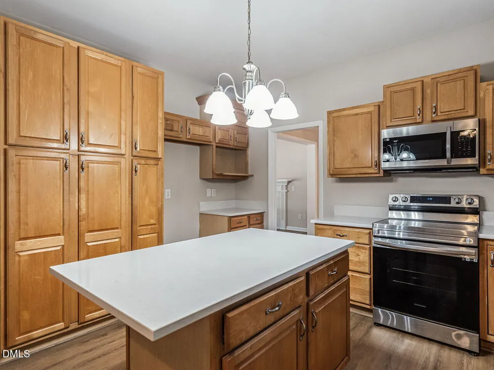 209 Leafgate Court Holly Springs, NC 27540