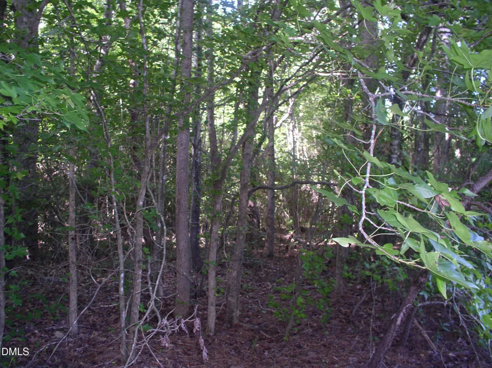 140 Bonnie Harris Lane Louisburg, NC 27549