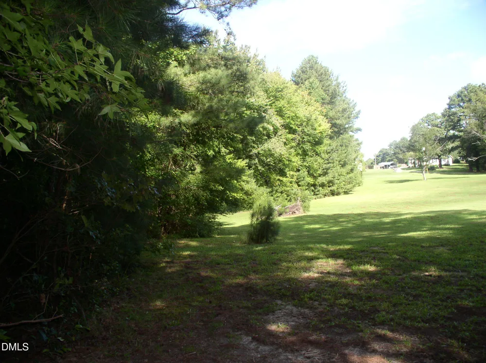140 Bonnie Harris Lane Louisburg, NC 27549