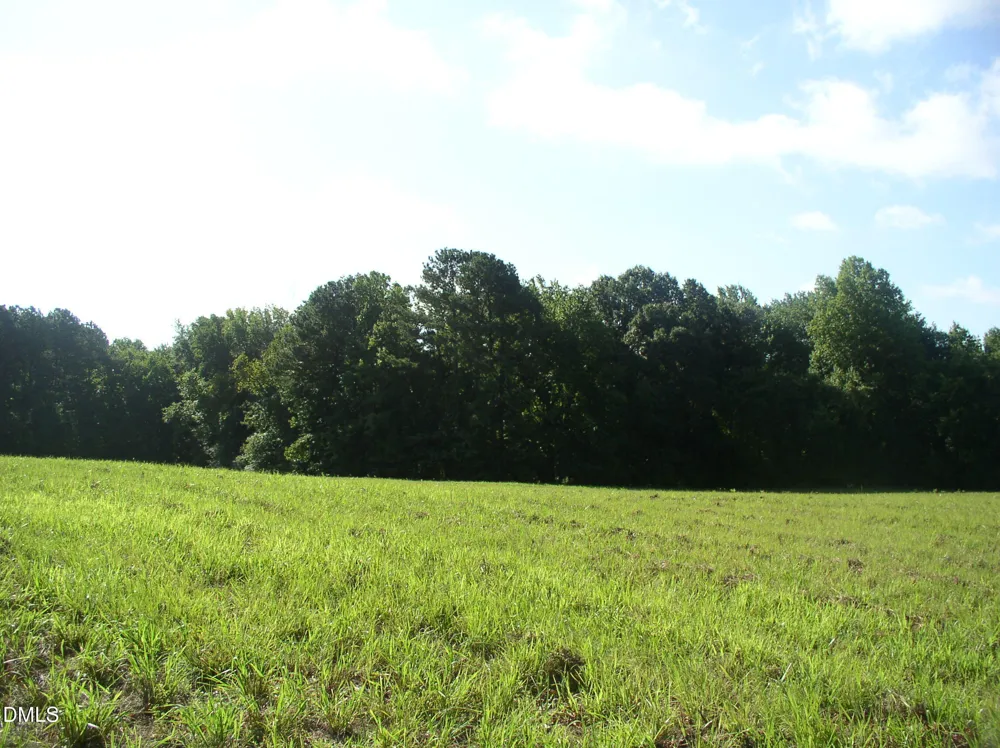 140 Bonnie Harris Lane Louisburg, NC 27549