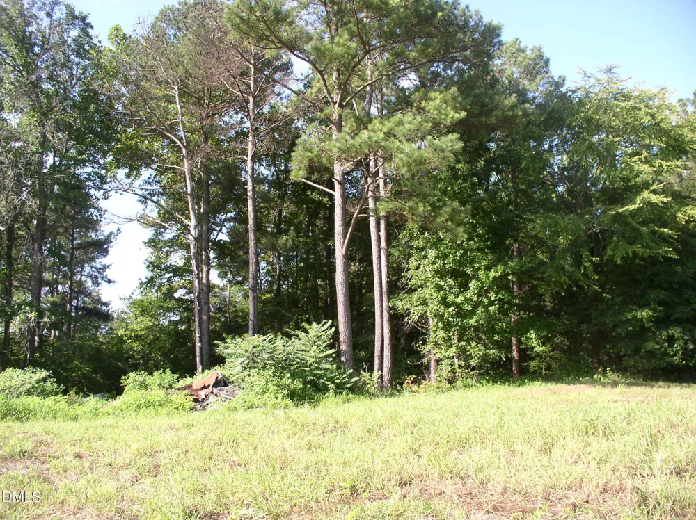 140 Bonnie Harris Lane Louisburg, NC 27549