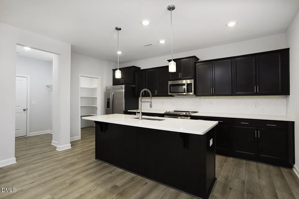 481 Badger Pass Drive Clayton, NC 27527