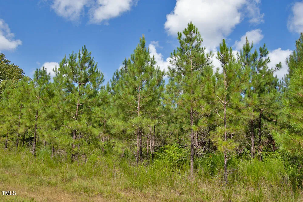0 Buckhorn Road Bullock, NC 27507