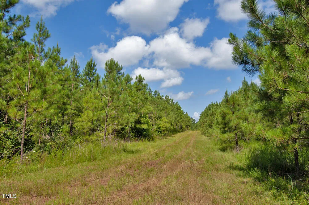 0 Buckhorn Road Bullock, NC 27507