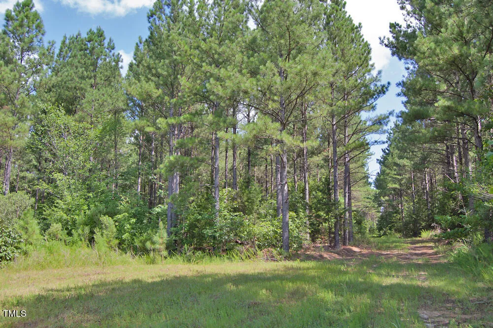 0 Buckhorn Road Bullock, NC 27507
