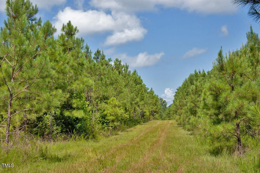 0 Buckhorn Road Bullock, NC 27507