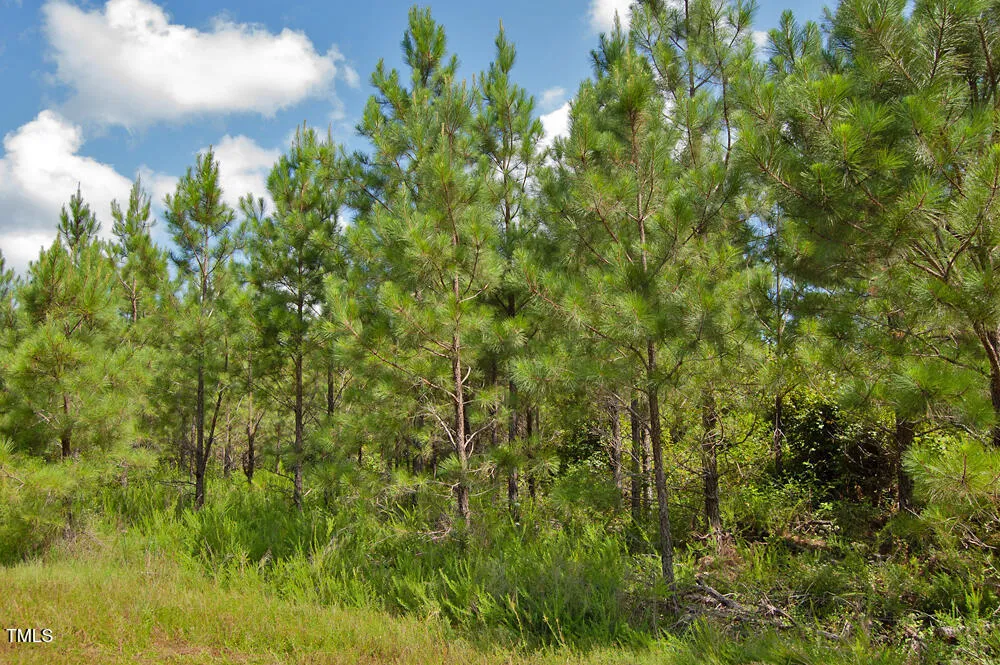 0 Buckhorn Road Bullock, NC 27507