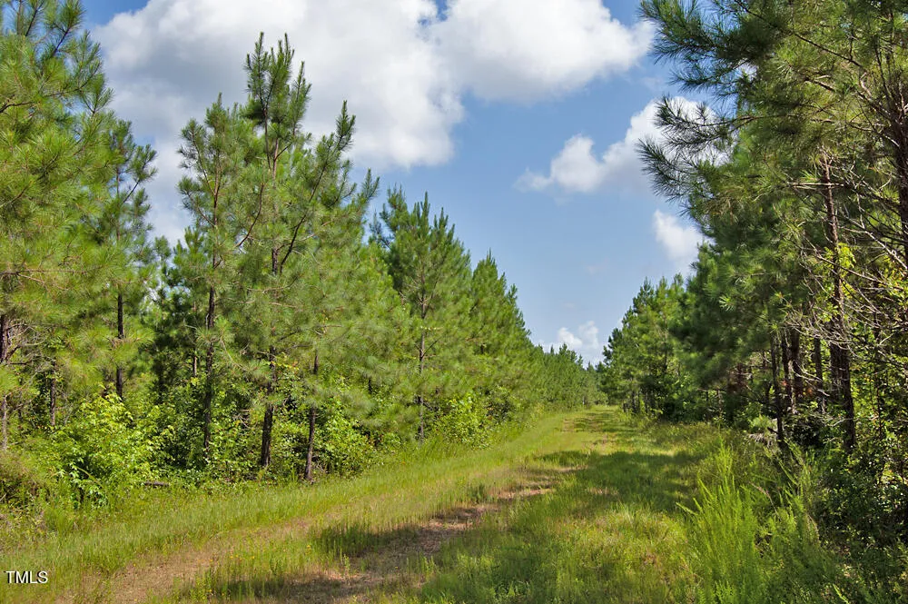 0 Buckhorn Road Bullock, NC 27507