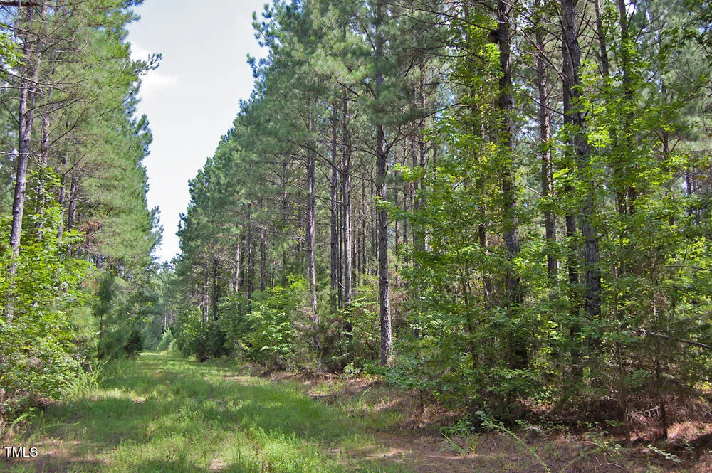 0 Buckhorn Road Bullock, NC 27507
