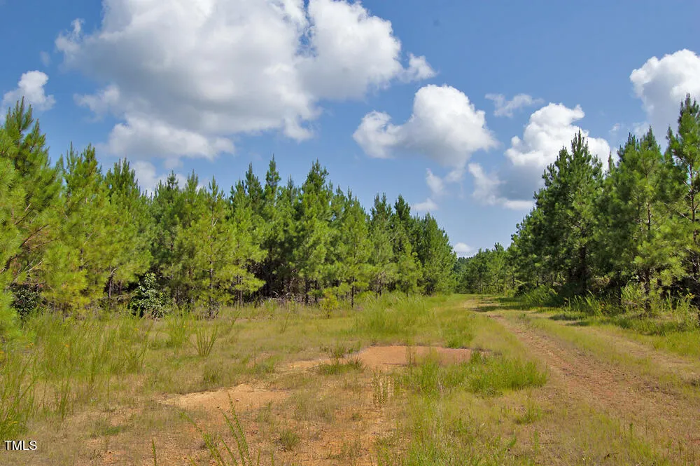 0 Buckhorn Road Bullock, NC 27507